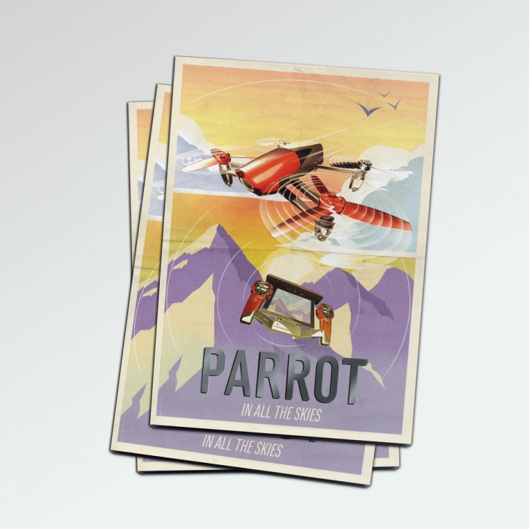 Zurich29 - Parrot
