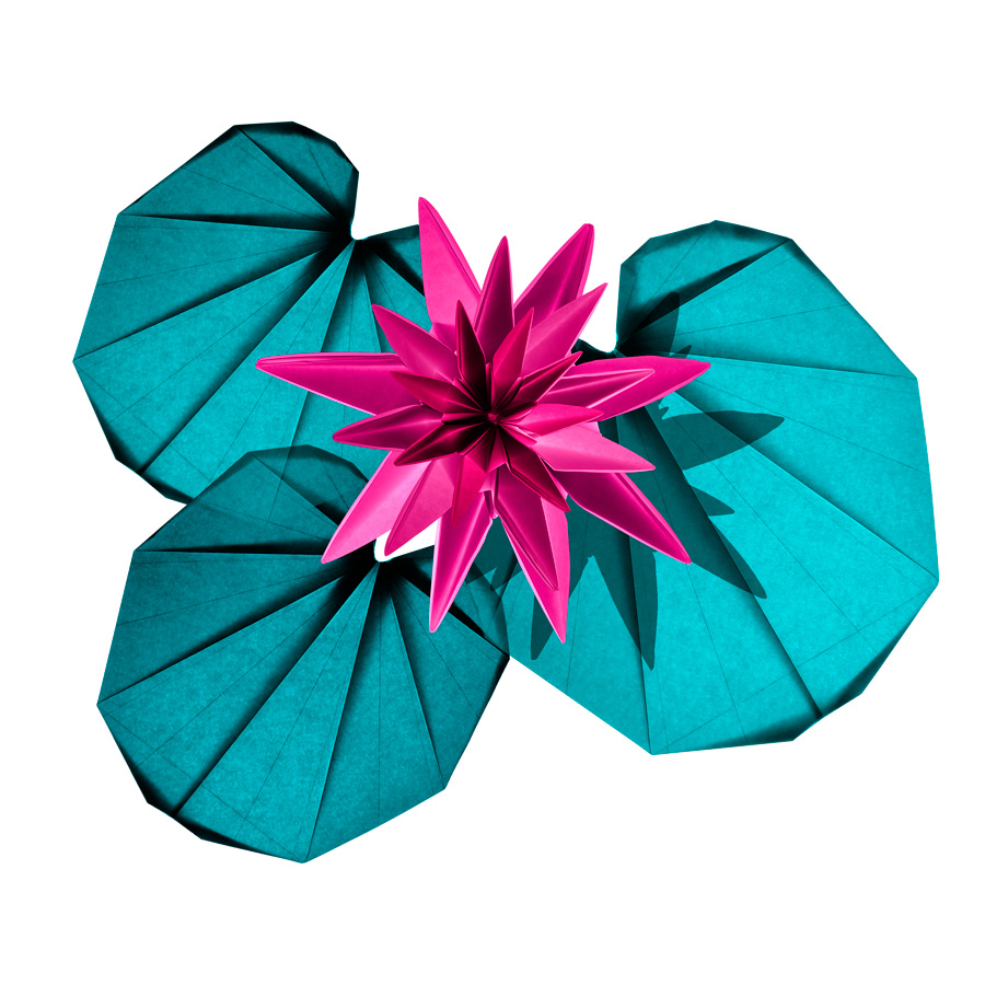 Origami of Bertrand Le Pautremat of a water lily